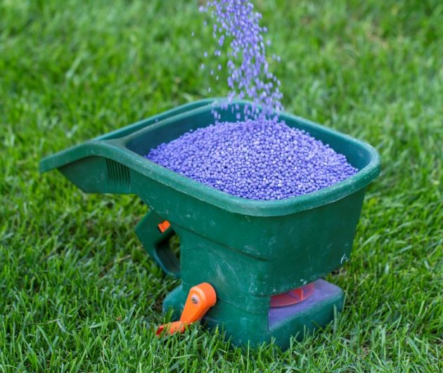 Lawn Fertiliser Tips My Home Turf