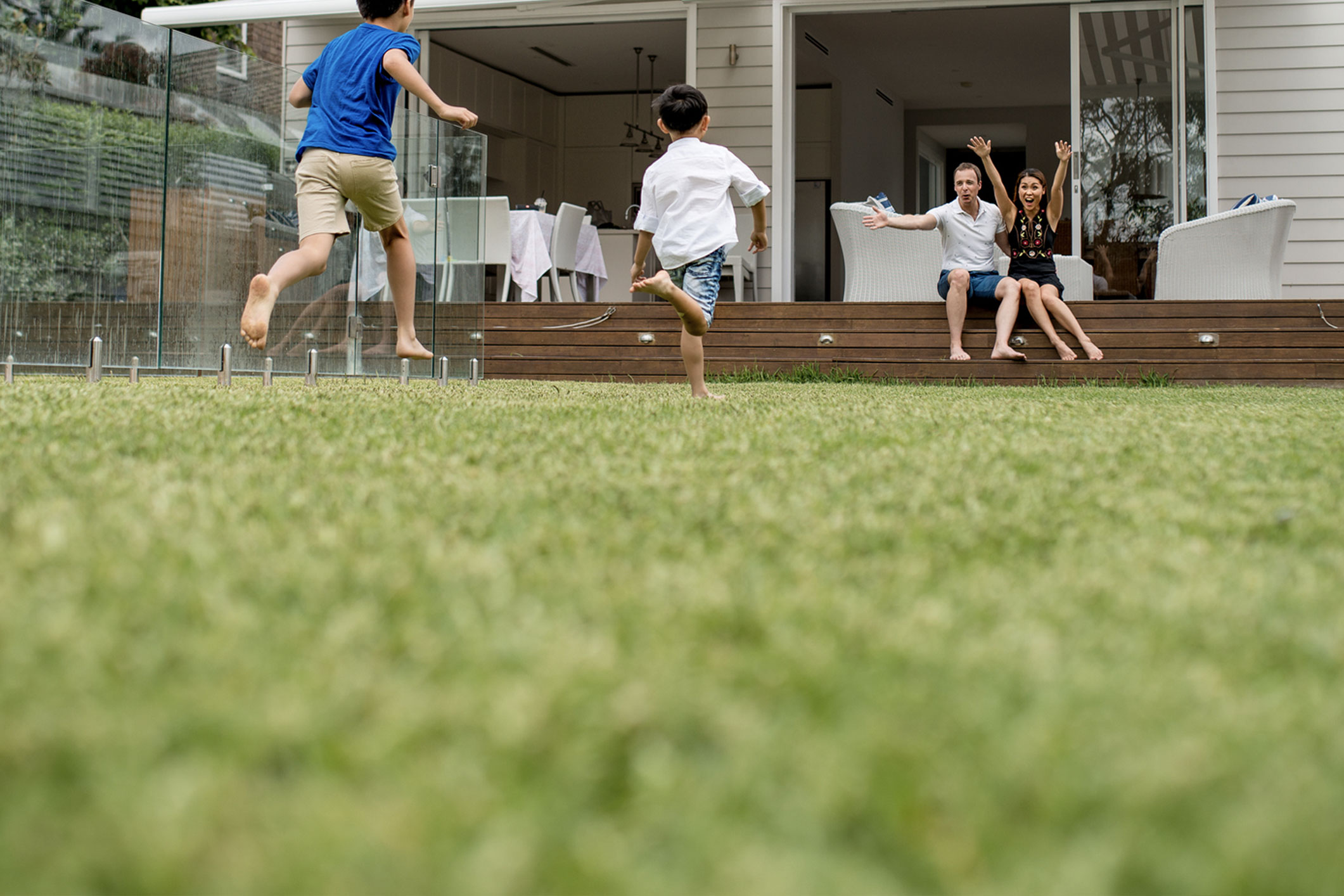 Find your perfect turf