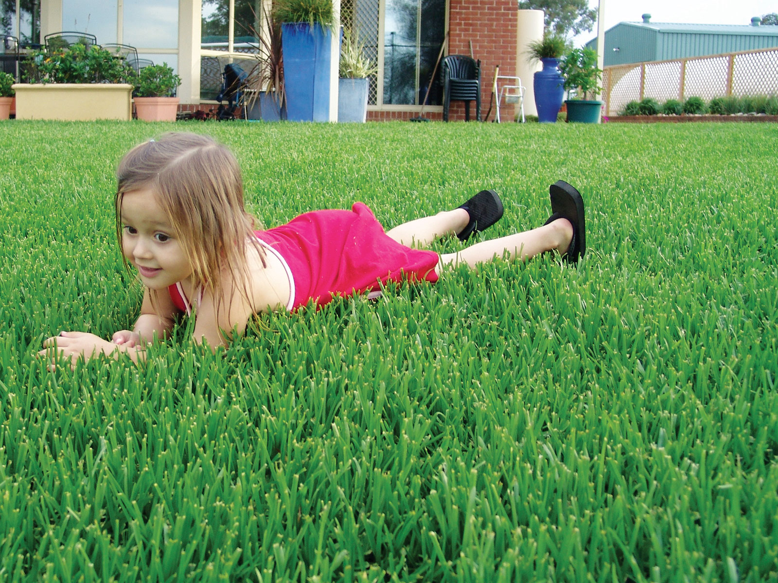 Choosing the Best Grass for Kids & Pets | myhomeTURF