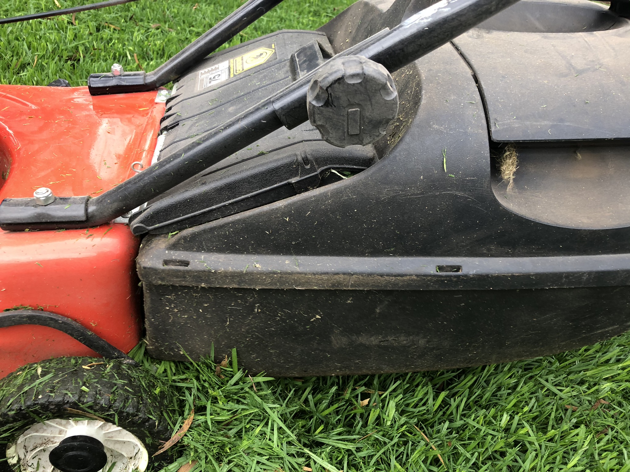 Lawn Mowing Heights for Buffalo Grass | myhomeTURF