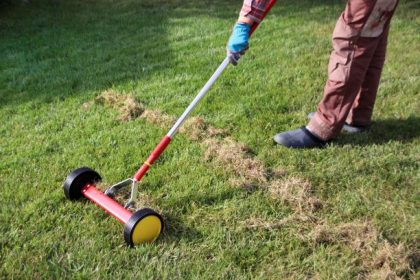 How to Remove Old Buffalo Grass Lawn - My Home Turf