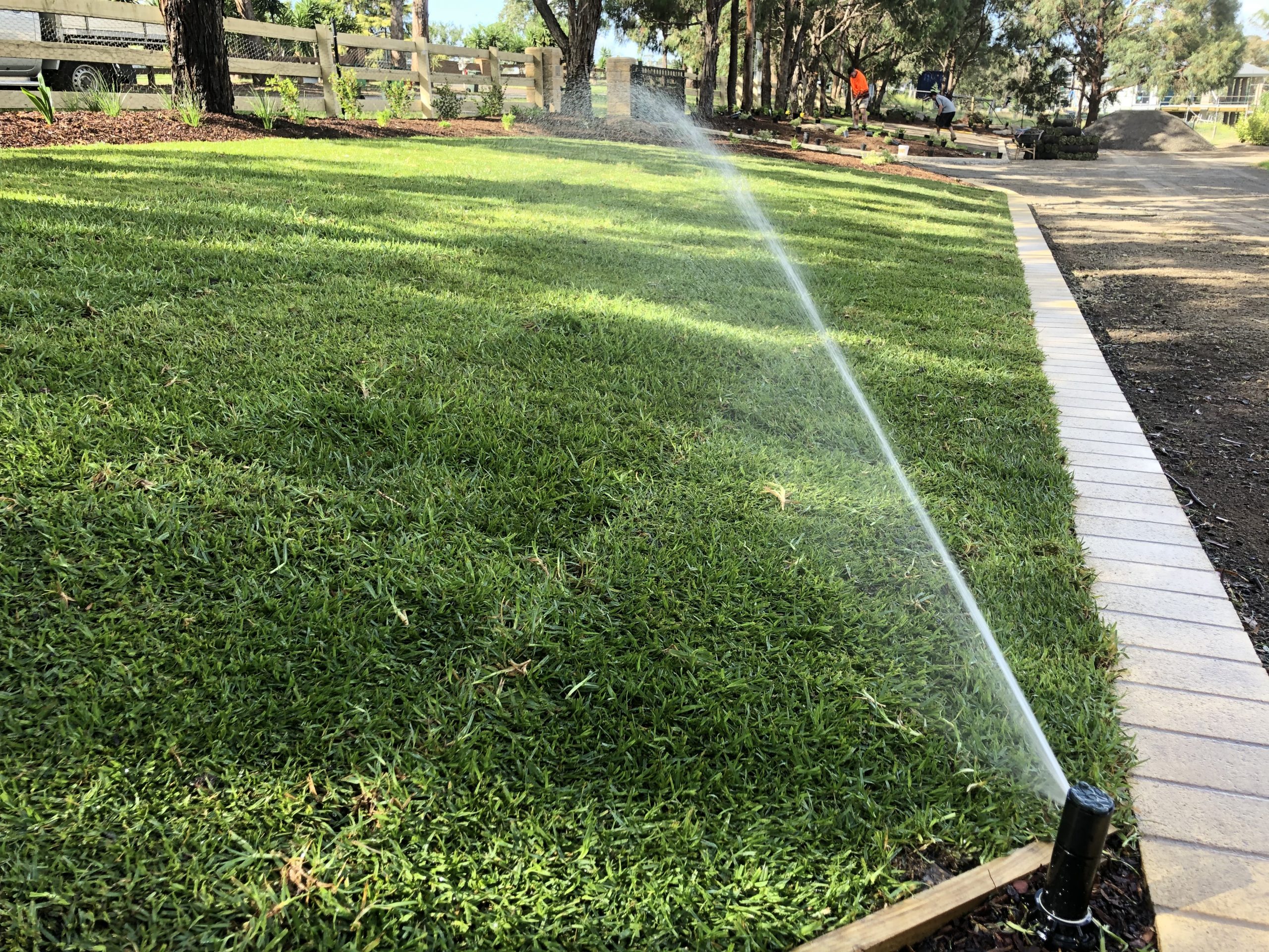 How to Use Grey Water to Water Your Lawn