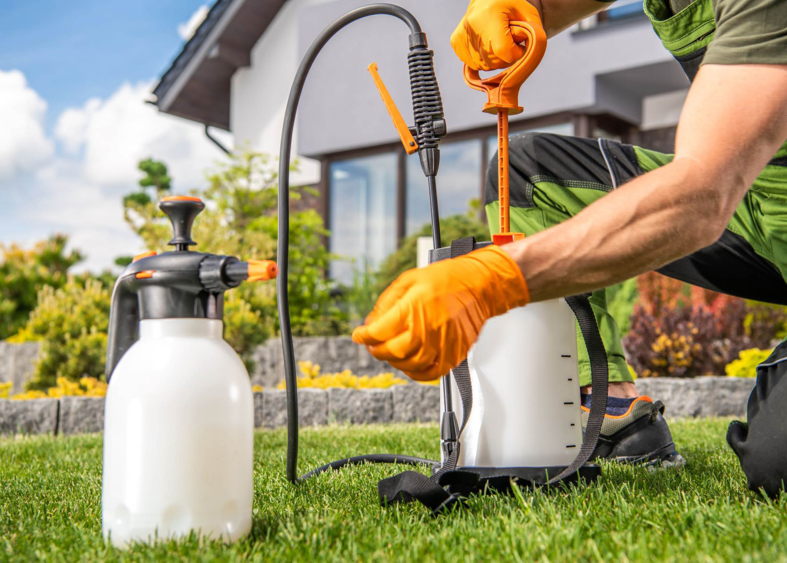 How to Apply Fungicides to Your Lawn myhomeTURF