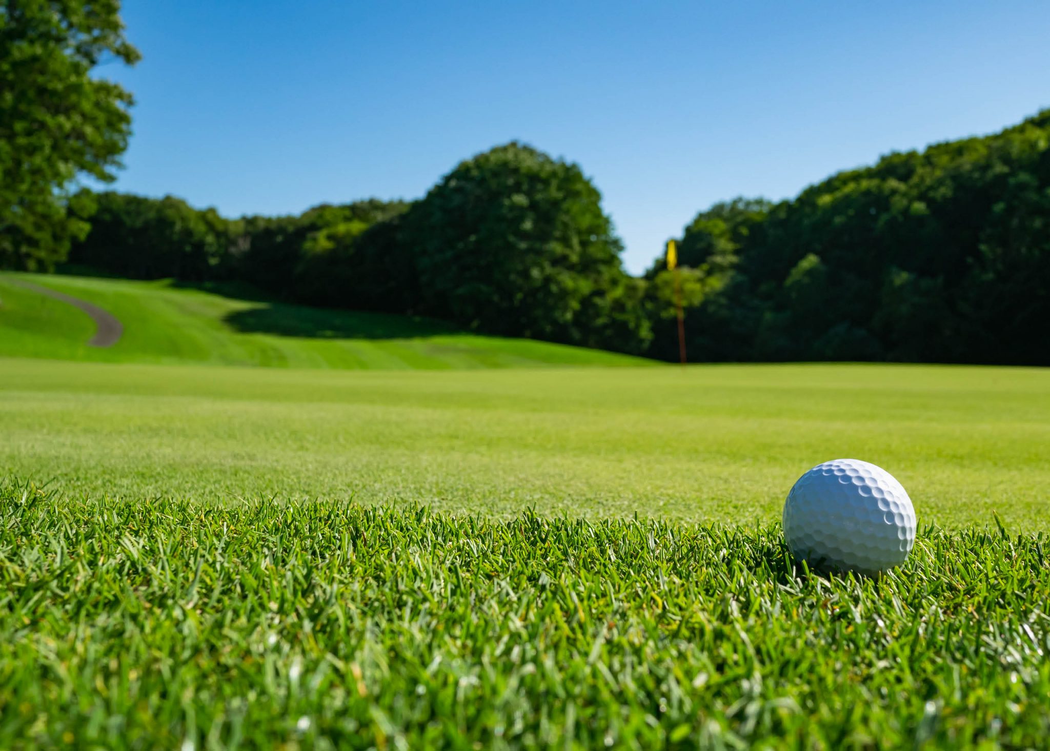 What Grass Is Used On Golf Course