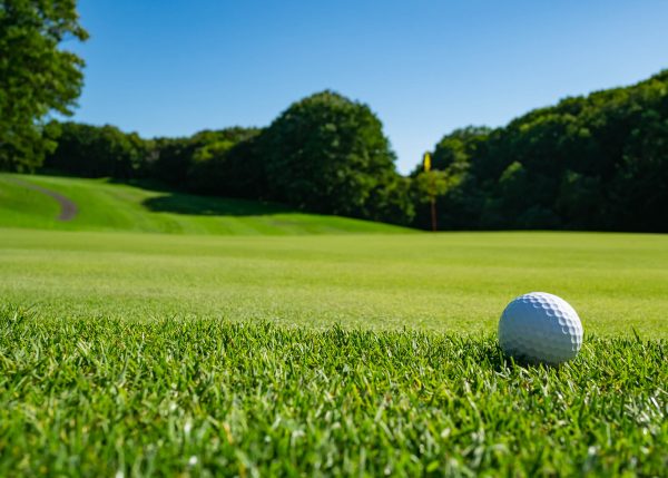 What grass is used on golf courses? | myhomeTURF