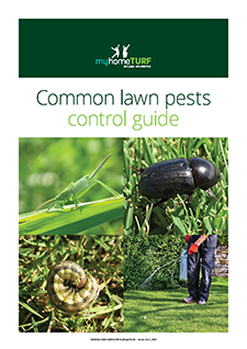 myhomeTURF's "Common lawn pests control guide"