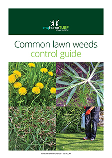myhomeTURF's "Common lawn weeds control guide"