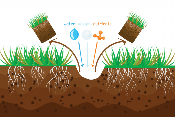 How to Core Your Lawn | myhomeTURF