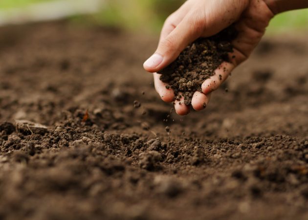 Man checking soil pH levels