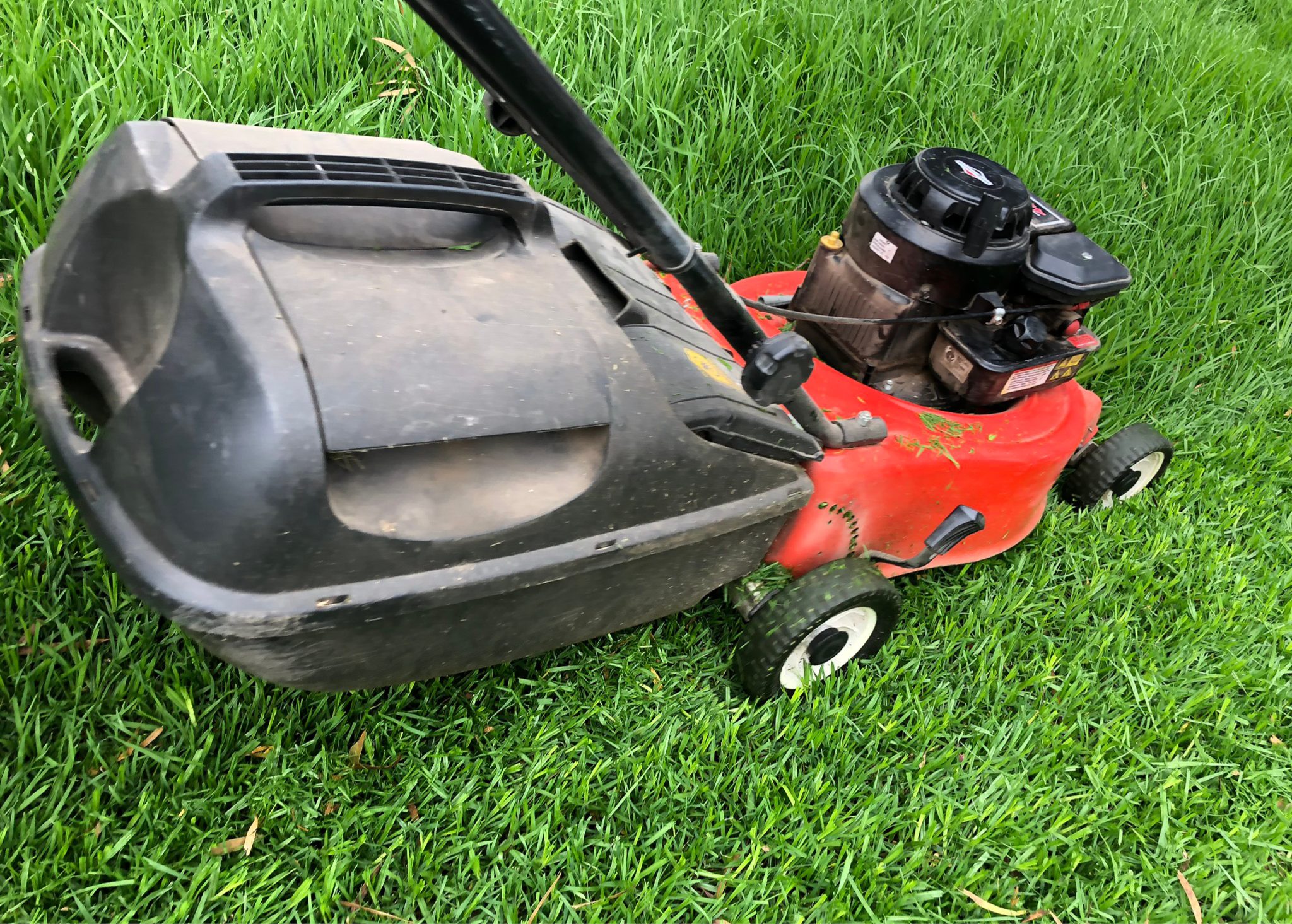 Petrol versus Electric Lawn Mowers myhomeTURF